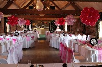 Silver Lining Wedding Services   Wedding Flowers and Venue Decoration 1074306 Image 6